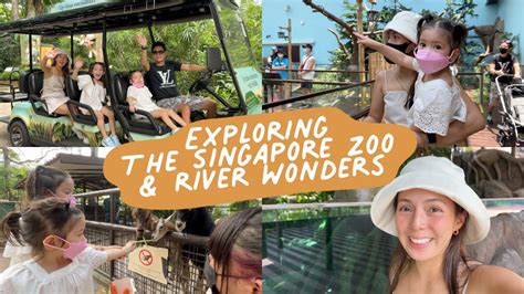 river wonders or singapore zoo